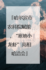 哈尔滨市农科院赋能，“寒地小龙虾”亮相哈洽会