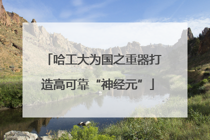 哈工大为国之重器打造高可靠“神经元”