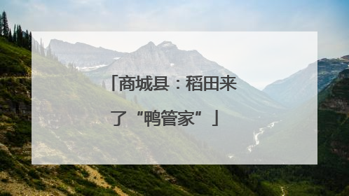 商城县：稻田来了“鸭管家”