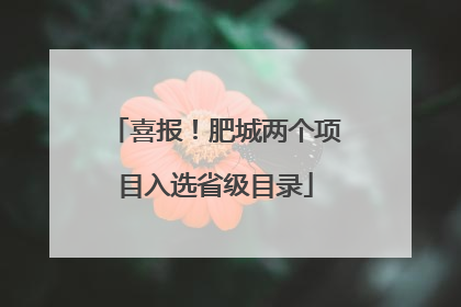 喜报！肥城两个项目入选省级目录