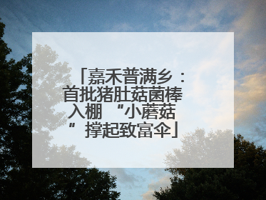 嘉禾普满乡：首批猪肚菇菌棒入棚 “小蘑菇”撑起致富伞