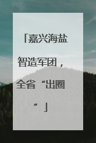 嘉兴海盐智造军团，全省“出圈”
