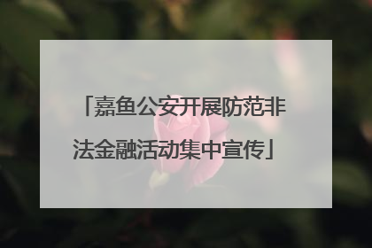 嘉鱼公安开展防范非法金融活动集中宣传