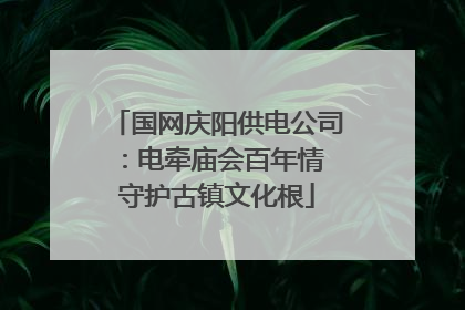 国网庆阳供电公司：电牵庙会百年情 守护古镇文化根