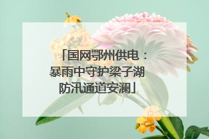 国网鄂州供电：暴雨中守护梁子湖防汛通道安澜