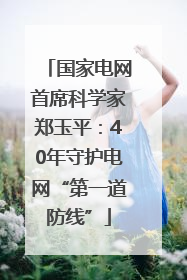 国家电网首席科学家郑玉平：40年守护电网“第一道防线”