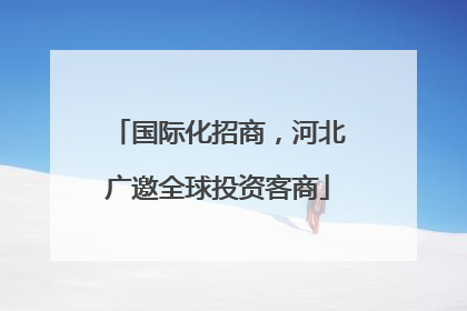 国际化招商，河北广邀全球投资客商