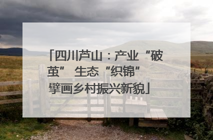 四川芦山：产业“破茧” 生态“织锦” 擘画乡村振兴新貌