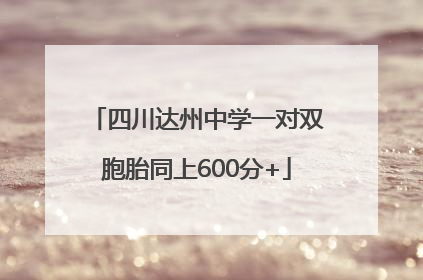 四川达州中学一对双胞胎同上600分+