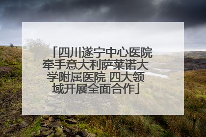 四川遂宁中心医院牵手意大利萨莱诺大学附属医院 四大领域开展全面合作