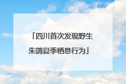 四川首次发现野生朱鹮夏季栖息行为