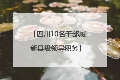 四川10名干部履新县级领导职务
