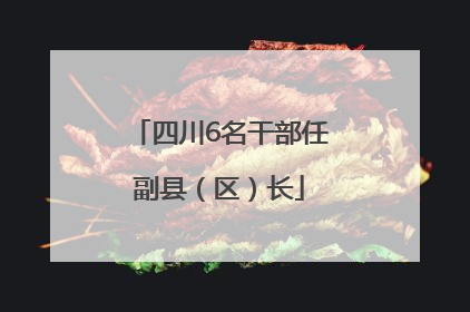 四川6名干部任副县（区）长