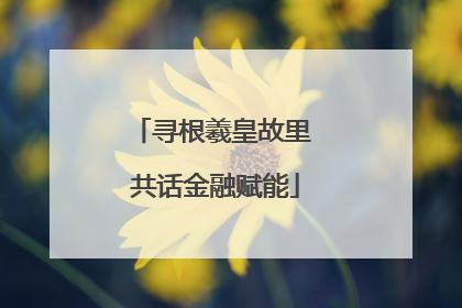 寻根羲皇故里 共话金融赋能