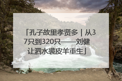孔子故里孝贤多｜从37只到320只——刘健让泗水裘皮羊重生