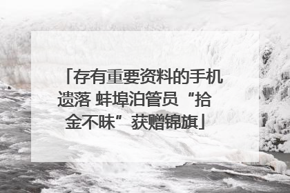 存有重要资料的手机遗落 蚌埠泊管员“拾金不昧”获赠锦旗