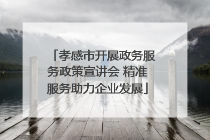 孝感市开展政务服务政策宣讲会 精准服务助力企业发展
