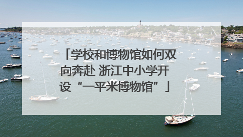 学校和博物馆如何双向奔赴 浙江中小学开设“一平米博物馆”