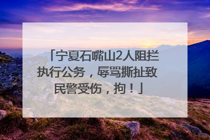 宁夏石嘴山2人阻拦执行公务，辱骂撕扯致民警受伤，拘！