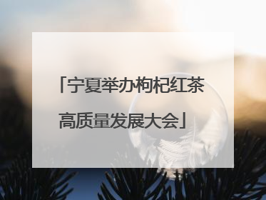 宁夏举办枸杞红茶高质量发展大会
