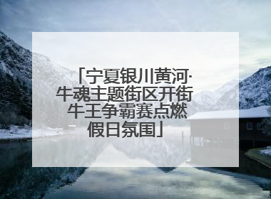 宁夏银川黄河·牛魂主题街区开街 牛王争霸赛点燃假日氛围