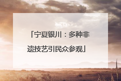 宁夏银川：多种非遗技艺引民众参观