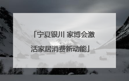 宁夏银川 家博会激活家居消费新动能