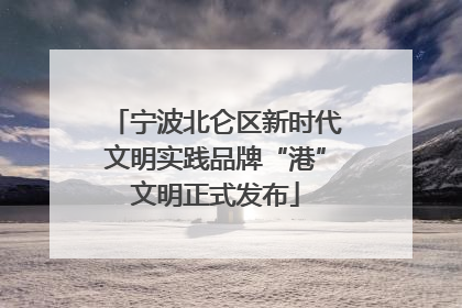 宁波北仑区新时代文明实践品牌“港”文明正式发布