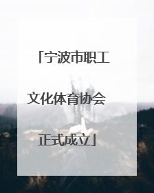 宁波市职工文化体育协会正式成立
