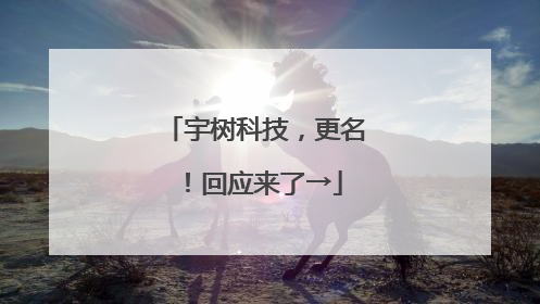 宇树科技，更名！回应来了→