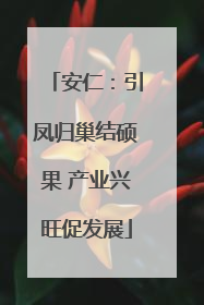 安仁：引凤归巢结硕果 产业兴旺促发展