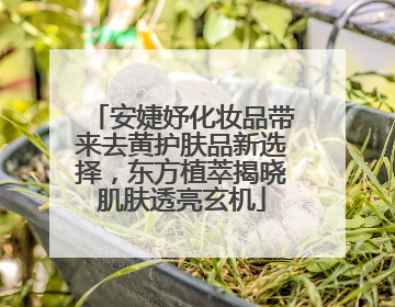 安婕妤化妆品带来去黄护肤品新选择，东方植萃揭晓肌肤透亮玄机