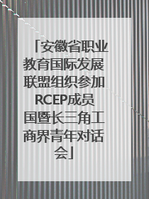 安徽省职业教育国际发展联盟组织参加RCEP成员国暨长三角工商界青年对话会