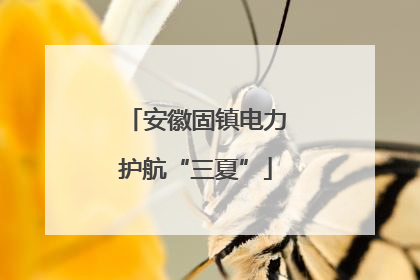 安徽固镇电力护航“三夏”