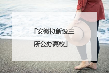 安徽拟新设三所公办高校
