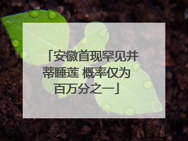安徽首现罕见并蒂睡莲 概率仅为百万分之一