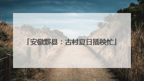 安徽黟县：古村夏日插秧忙