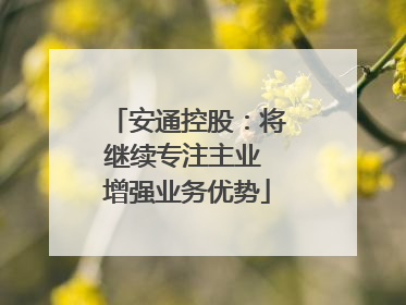 安通控股：将继续专注主业 增强业务优势