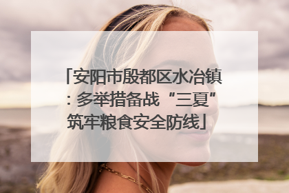 安阳市殷都区水冶镇：多举措备战“三夏” 筑牢粮食安全防线