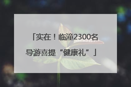 实在！临潼2300名导游喜提“健康礼”