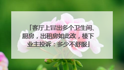 客厅上冒出多个卫生间、厨房，出租房如此改，楼下业主投诉：多少不舒服