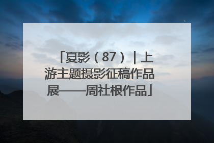 夏影（87）｜上游主题摄影征稿作品展——周社根作品