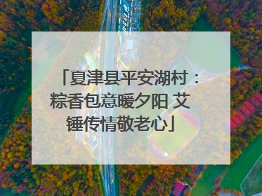 夏津县平安湖村：粽香包意暖夕阳 艾锤传情敬老心