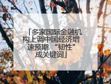 多家国际金融机构上调中国经济增速预期 “韧性”成关键词