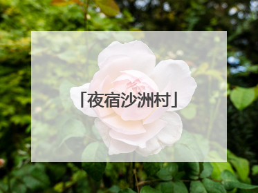 夜宿沙洲村