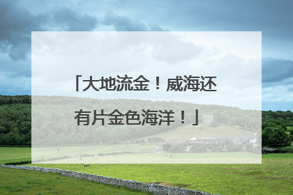 大地流金！威海还有片金色海洋！