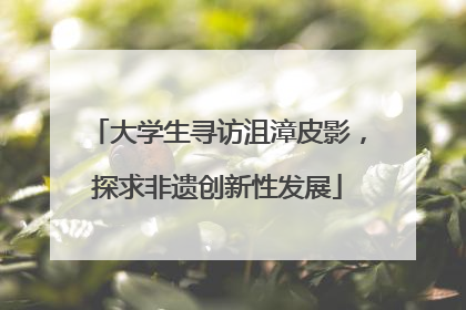 大学生寻访沮漳皮影，探求非遗创新性发展