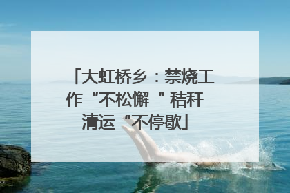 大虹桥乡：禁烧工作“不松懈“ 秸秆清运“不停歇