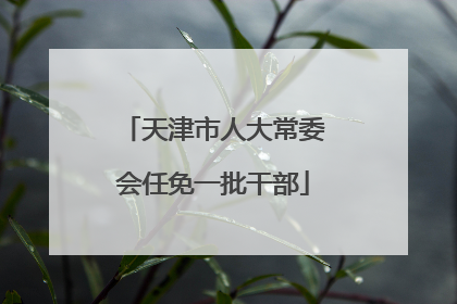 天津市人大常委会任免一批干部