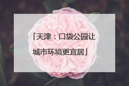 天津：口袋公园让城市环境更宜居